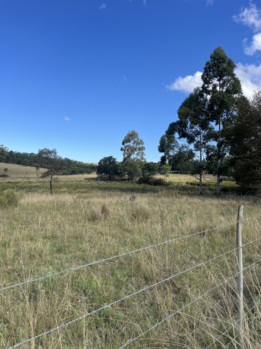 14 Bedroom Property for Sale in Stutterheim Eastern Cape